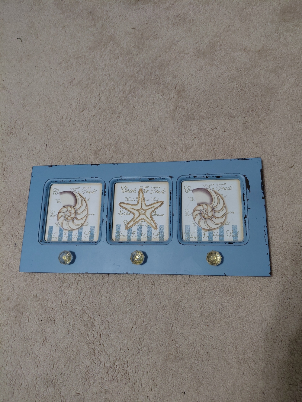 Coastal Blue Nautical Wall Hook Rack with Shell and Starfish Accents